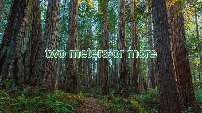 two meters or more